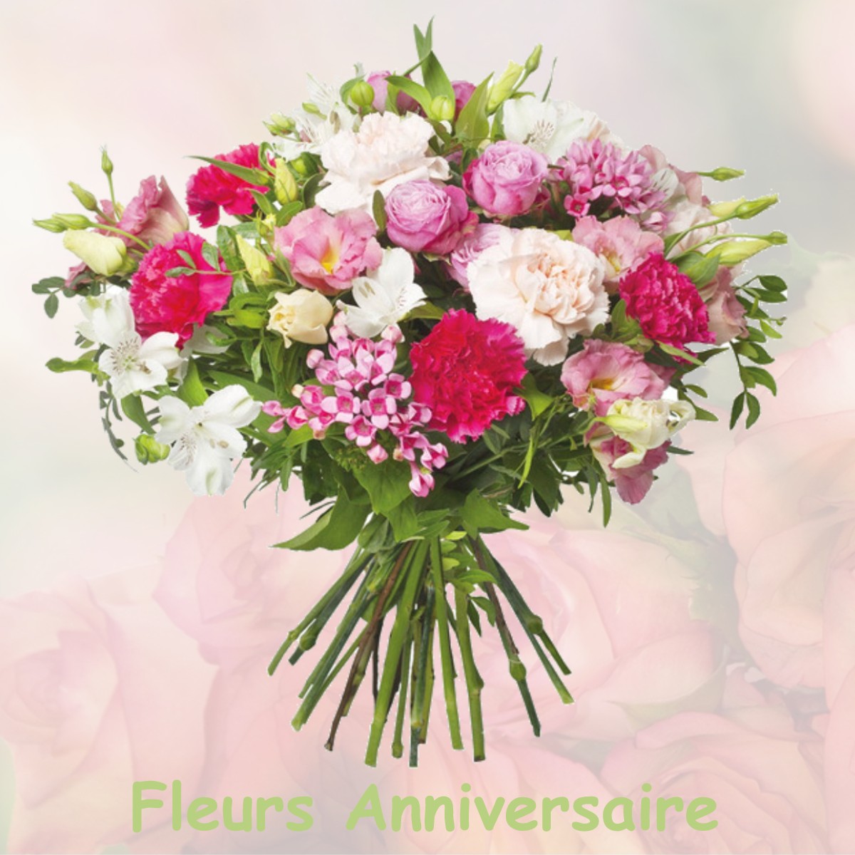 fleurs anniversaire MESNIL-MARTINSART